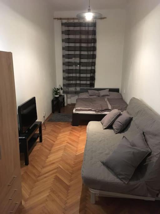 Utulne Ubytovani U Centra V Blizkosti Vystaviste Брно Екстер'єр фото